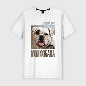Мужская футболка премиум с принтом Американский бульдог в Санкт-Петербурге, 92% хлопок, 8% лайкра | приталенный силуэт, круглый вырез ворота, длина до линии бедра, короткий рукав | drug | американский бульдог | порода | собака