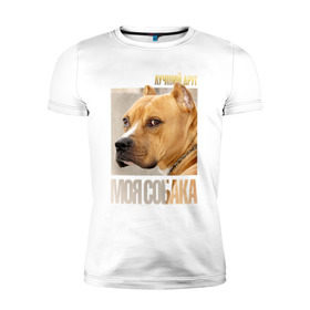 Мужская футболка премиум с принтом Американский питбультерьер в Санкт-Петербурге, 92% хлопок, 8% лайкра | приталенный силуэт, круглый вырез ворота, длина до линии бедра, короткий рукав | Тематика изображения на принте: @ | drug | американский питбультерьер | собака