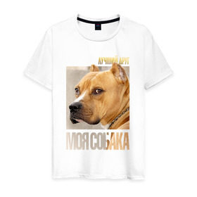 Мужская футболка хлопок с принтом Американский питбультерьер в Санкт-Петербурге, 100% хлопок | прямой крой, круглый вырез горловины, длина до линии бедер, слегка спущенное плечо. | @ | drug | американский питбультерьер | собака