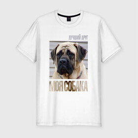Мужская футболка премиум с принтом Английский мастиф в Санкт-Петербурге, 92% хлопок, 8% лайкра | приталенный силуэт, круглый вырез ворота, длина до линии бедра, короткий рукав | drug | английский мастиф | порода | собака