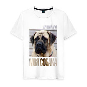 Мужская футболка хлопок с принтом Английский мастиф в Санкт-Петербурге, 100% хлопок | прямой крой, круглый вырез горловины, длина до линии бедер, слегка спущенное плечо. | drug | английский мастиф | порода | собака