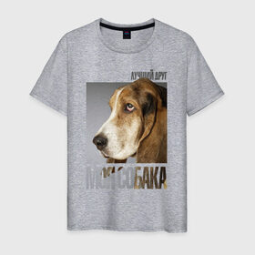 Мужская футболка хлопок с принтом Бассет-хаунд в Санкт-Петербурге, 100% хлопок | прямой крой, круглый вырез горловины, длина до линии бедер, слегка спущенное плечо. | Тематика изображения на принте: drug | бассет хаунд | порода | собака