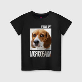 Детская футболка хлопок с принтом Бигль в Санкт-Петербурге, 100% хлопок | круглый вырез горловины, полуприлегающий силуэт, длина до линии бедер | drug | бигль | порода | собака