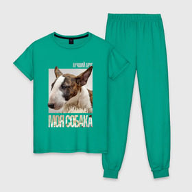 Женская пижама хлопок с принтом Бультерьер в Санкт-Петербурге, 100% хлопок | брюки и футболка прямого кроя, без карманов, на брюках мягкая резинка на поясе и по низу штанин | drug | порода | собака