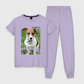 Женская пижама хлопок с принтом Джек-рассел-терьер в Санкт-Петербурге, 100% хлопок | брюки и футболка прямого кроя, без карманов, на брюках мягкая резинка на поясе и по низу штанин | drug | джек рассел терьер | порода | собака