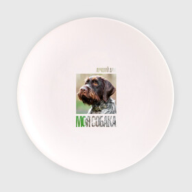 Тарелка с принтом Дратхаар, лучший, друг, собака в Санкт-Петербурге, фарфор | диаметр - 210 мм
диаметр для нанесения принта - 120 мм | drug | дратхаар | порода | собака