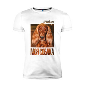 Мужская футболка премиум с принтом Ирландский сеттер в Санкт-Петербурге, 92% хлопок, 8% лайкра | приталенный силуэт, круглый вырез ворота, длина до линии бедра, короткий рукав | drug | ирландский сеттер | порода | собака