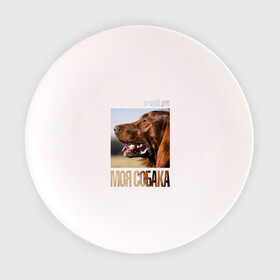 Тарелка с принтом Ирландский сеттер в Санкт-Петербурге, фарфор | диаметр - 210 мм
диаметр для нанесения принта - 120 мм | drug | ирландский сеттер | порода | собака