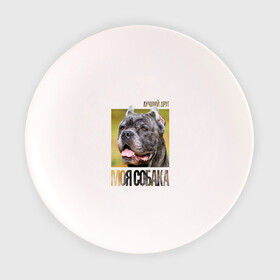 Тарелка с принтом Канне корсо в Санкт-Петербурге, фарфор | диаметр - 210 мм
диаметр для нанесения принта - 120 мм | drug | канне корсо | порода | собака