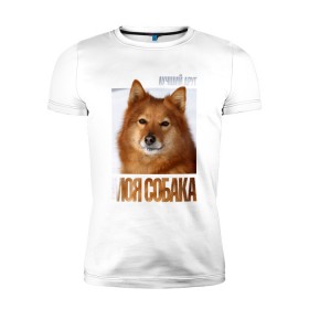 Мужская футболка премиум с принтом Карело-финская лайка в Санкт-Петербурге, 92% хлопок, 8% лайкра | приталенный силуэт, круглый вырез ворота, длина до линии бедра, короткий рукав | drug | карело финская лайка | порода | собака