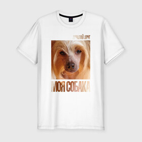 Мужская футболка премиум с принтом Китайская хохлатая собака в Санкт-Петербурге, 92% хлопок, 8% лайкра | приталенный силуэт, круглый вырез ворота, длина до линии бедра, короткий рукав | китайская хохлатая собака | порода | собака