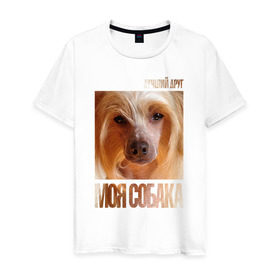 Мужская футболка хлопок с принтом Китайская хохлатая собака в Санкт-Петербурге, 100% хлопок | прямой крой, круглый вырез горловины, длина до линии бедер, слегка спущенное плечо. | китайская хохлатая собака | порода | собака