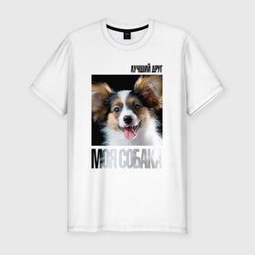 Мужская футболка премиум с принтом Папийон в Санкт-Петербурге, 92% хлопок, 8% лайкра | приталенный силуэт, круглый вырез ворота, длина до линии бедра, короткий рукав | drug | папийон | порода | собака