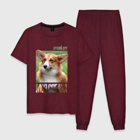 Мужская пижама хлопок с принтом Вельш-корги-пемброк в Санкт-Петербурге, 100% хлопок | брюки и футболка прямого кроя, без карманов, на брюках мягкая резинка на поясе и по низу штанин
 | drug | вельш корги пемброк | порода | собака