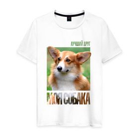 Мужская футболка хлопок с принтом Вельш-корги-пемброк в Санкт-Петербурге, 100% хлопок | прямой крой, круглый вырез горловины, длина до линии бедер, слегка спущенное плечо. | Тематика изображения на принте: drug | вельш корги пемброк | порода | собака