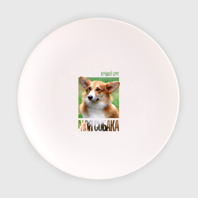Тарелка с принтом Вельш-корги-пемброк в Санкт-Петербурге, фарфор | диаметр - 210 мм
диаметр для нанесения принта - 120 мм | drug | вельш корги пемброк | порода | собака