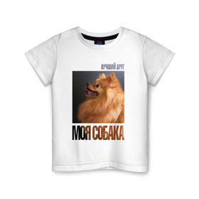Детская футболка хлопок с принтом Померанский шпиц в Санкт-Петербурге, 100% хлопок | круглый вырез горловины, полуприлегающий силуэт, длина до линии бедер | drug | померанский шпиц | порода | собака