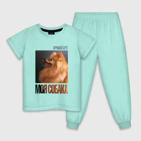 Детская пижама хлопок с принтом Померанский шпиц в Санкт-Петербурге, 100% хлопок |  брюки и футболка прямого кроя, без карманов, на брюках мягкая резинка на поясе и по низу штанин
 | drug | померанский шпиц | порода | собака