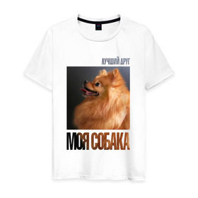 Мужская футболка хлопок с принтом Померанский шпиц в Санкт-Петербурге, 100% хлопок | прямой крой, круглый вырез горловины, длина до линии бедер, слегка спущенное плечо. | drug | померанский шпиц | порода | собака