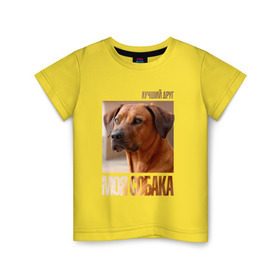 Детская футболка хлопок с принтом Родезийский риджбек в Санкт-Петербурге, 100% хлопок | круглый вырез горловины, полуприлегающий силуэт, длина до линии бедер | drug | порода | родезийский риджбек | собака