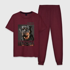 Мужская пижама хлопок с принтом Ротвейлер в Санкт-Петербурге, 100% хлопок | брюки и футболка прямого кроя, без карманов, на брюках мягкая резинка на поясе и по низу штанин
 | drug | порода | собака