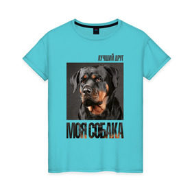 Женская футболка хлопок с принтом Ротвейлер в Санкт-Петербурге, 100% хлопок | прямой крой, круглый вырез горловины, длина до линии бедер, слегка спущенное плечо | drug | порода | собака
