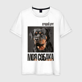 Мужская футболка хлопок с принтом Ротвейлер в Санкт-Петербурге, 100% хлопок | прямой крой, круглый вырез горловины, длина до линии бедер, слегка спущенное плечо. | drug | порода | собака