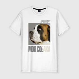 Мужская футболка премиум с принтом Сенбернар в Санкт-Петербурге, 92% хлопок, 8% лайкра | приталенный силуэт, круглый вырез ворота, длина до линии бедра, короткий рукав | drug | порода | сенбернар | собака