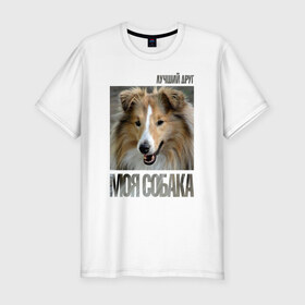 Мужская футболка премиум с принтом Шелти в Санкт-Петербурге, 92% хлопок, 8% лайкра | приталенный силуэт, круглый вырез ворота, длина до линии бедра, короткий рукав | drug | порода | собака | шелти