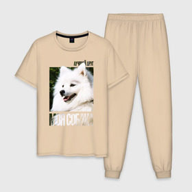 Мужская пижама хлопок с принтом Японский шпиц в Санкт-Петербурге, 100% хлопок | брюки и футболка прямого кроя, без карманов, на брюках мягкая резинка на поясе и по низу штанин
 | drug | порода | собака | японский шпиц