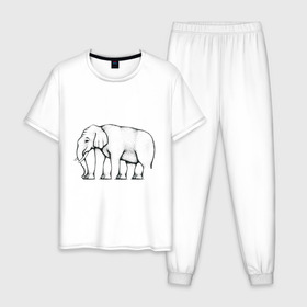 Мужская пижама хлопок с принтом Сколько ног у слона в Санкт-Петербурге, 100% хлопок | брюки и футболка прямого кроя, без карманов, на брюках мягкая резинка на поясе и по низу штанин
 | слон