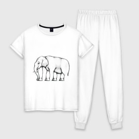 Женская пижама хлопок с принтом Сколько ног у слона в Санкт-Петербурге, 100% хлопок | брюки и футболка прямого кроя, без карманов, на брюках мягкая резинка на поясе и по низу штанин | слон