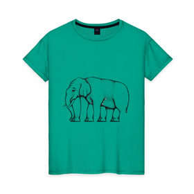 Женская футболка хлопок с принтом Сколько ног у слона в Санкт-Петербурге, 100% хлопок | прямой крой, круглый вырез горловины, длина до линии бедер, слегка спущенное плечо | слон