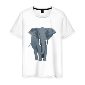 Мужская футболка хлопок с принтом Слон в Санкт-Петербурге, 100% хлопок | прямой крой, круглый вырез горловины, длина до линии бедер, слегка спущенное плечо. | 