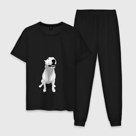 Мужская пижама хлопок с принтом Бультерьер в Санкт-Петербурге, 100% хлопок | брюки и футболка прямого кроя, без карманов, на брюках мягкая резинка на поясе и по низу штанин
 | пес | собака