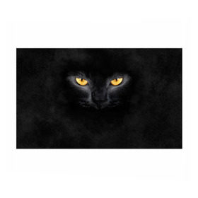 Бумага для упаковки 3D с принтом Черная кошка в Санкт-Петербурге, пластик и полированная сталь | круглая форма, металлическое крепление в виде кольца | глаза | киса | кот | котик | кошка | черная кошка