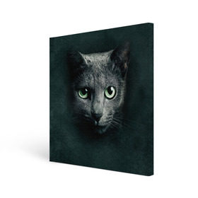 Холст квадратный с принтом Серый кот в Санкт-Петербурге, 100% ПВХ |  | киса | кот | котик | кошка | серый кот