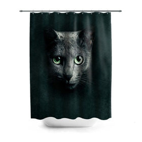 Штора 3D для ванной с принтом Серый кот в Санкт-Петербурге, 100% полиэстер | плотность материала — 100 г/м2. Стандартный размер — 146 см х 180 см. По верхнему краю — пластиковые люверсы для креплений. В комплекте 10 пластиковых колец | киса | кот | котик | кошка | серый кот