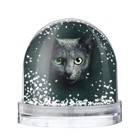 Водяной шар с принтом Серый кот в Санкт-Петербурге, Пластик | Изображение внутри шара печатается на глянцевой фотобумаге с двух сторон | киса | кот | котик | кошка | серый кот