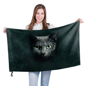 Флаг 3D с принтом Серый кот в Санкт-Петербурге, 100% полиэстер | плотность ткани — 95 г/м2, размер — 67 х 109 см. Принт наносится с одной стороны | киса | кот | котик | кошка | серый кот
