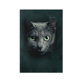 Обложка для паспорта матовая кожа с принтом Серый кот в Санкт-Петербурге, натуральная матовая кожа | размер 19,3 х 13,7 см; прозрачные пластиковые крепления | Тематика изображения на принте: киса | кот | котик | кошка | серый кот