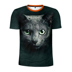 Мужская футболка 3D спортивная с принтом Серый кот в Санкт-Петербурге, 100% полиэстер с улучшенными характеристиками | приталенный силуэт, круглая горловина, широкие плечи, сужается к линии бедра | киса | кот | котик | кошка | серый кот