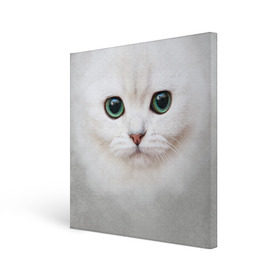 Холст квадратный с принтом Белый котик в Санкт-Петербурге, 100% ПВХ |  | белая кошка | киса | кот | котик | кошка