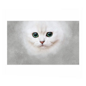 Бумага для упаковки 3D с принтом Белый котик в Санкт-Петербурге, пластик и полированная сталь | круглая форма, металлическое крепление в виде кольца | белая кошка | киса | кот | котик | кошка