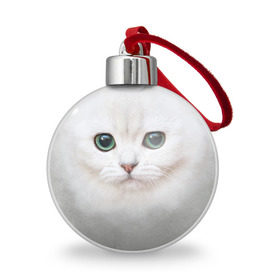 Ёлочный шар с принтом Белый котик в Санкт-Петербурге, Пластик | Диаметр: 77 мм | белая кошка | киса | кот | котик | кошка