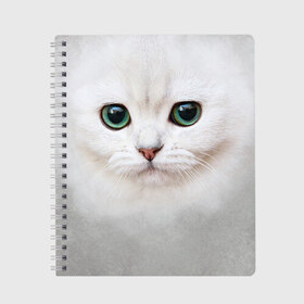 Тетрадь с принтом Белый котик в Санкт-Петербурге, 100% бумага | 48 листов, плотность листов — 60 г/м2, плотность картонной обложки — 250 г/м2. Листы скреплены сбоку удобной пружинной спиралью. Уголки страниц и обложки скругленные. Цвет линий — светло-серый
 | белая кошка | киса | кот | котик | кошка