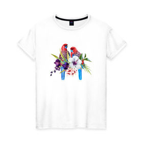 Женская футболка хлопок с принтом Попугаи в Санкт-Петербурге, 100% хлопок | прямой крой, круглый вырез горловины, длина до линии бедер, слегка спущенное плечо | myparrots | акварель | попугаи | птиц | розелла | цветы