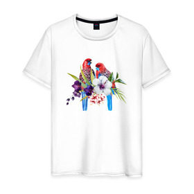 Мужская футболка хлопок с принтом Попугаи в Санкт-Петербурге, 100% хлопок | прямой крой, круглый вырез горловины, длина до линии бедер, слегка спущенное плечо. | myparrots | акварель | попугаи | птиц | розелла | цветы
