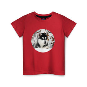 Детская футболка хлопок с принтом Щенок хаски в Санкт-Петербурге, 100% хлопок | круглый вырез горловины, полуприлегающий силуэт, длина до линии бедер | Тематика изображения на принте: dog | husky | собака | хаски | щенок
