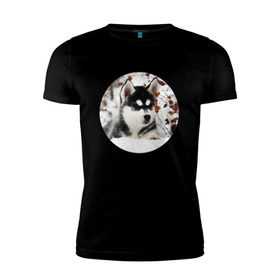 Мужская футболка премиум с принтом Щенок хаски в Санкт-Петербурге, 92% хлопок, 8% лайкра | приталенный силуэт, круглый вырез ворота, длина до линии бедра, короткий рукав | dog | husky | собака | хаски | щенок